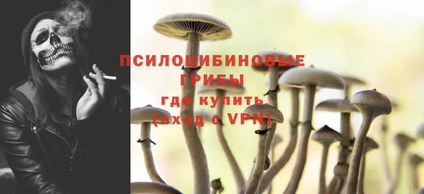 бутират Богданович