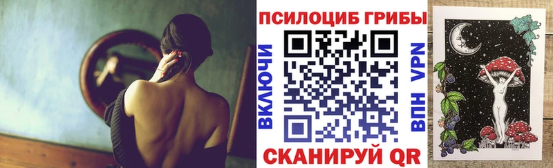 Псилоцибиновые грибы Psilocybe кракен ONION Барыш купить наркотики сайты